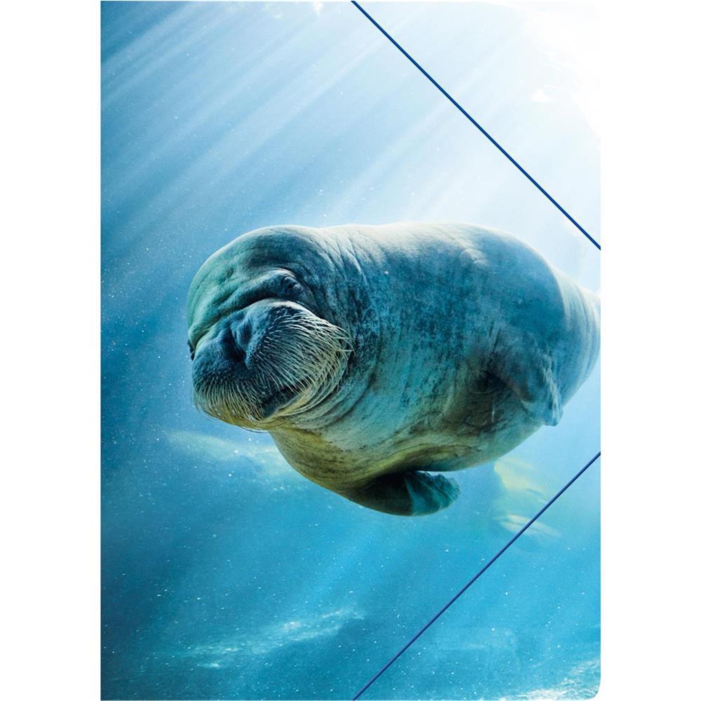 RNK DIN A4 Zeichenmappe 46312 “Unter Wasser” aus pflegeleichtem Polypropylen 4002871463126-1.jpg