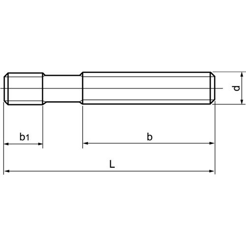 1x AMF Stiftschraube M10 x 100 Stahl DIN 6379 10.9 4020772086046_2.jpg
