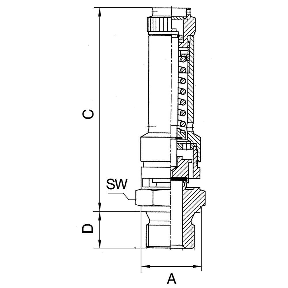 RIEGLER Sicherheitsventil DN 8, Messing, G 3/8, Ansprechdruck 11 bar 104184 4047322042789_2.jpg