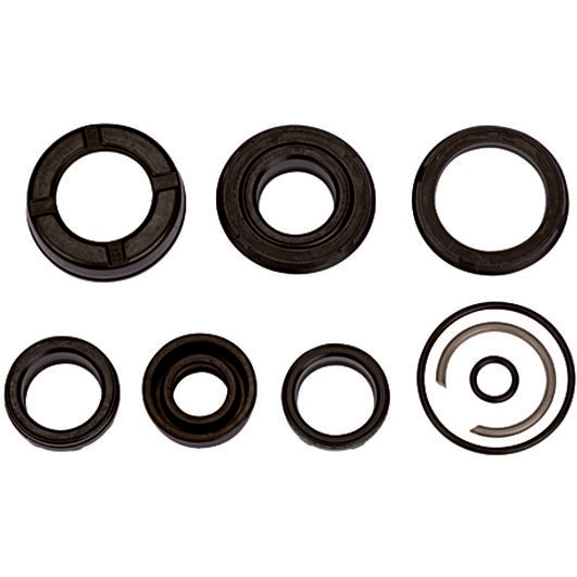 RIEGLER Dichtsatz für Kompaktzylinder LINER mit Kolben-ø 63mm m. 106175 4047322286121.jpg